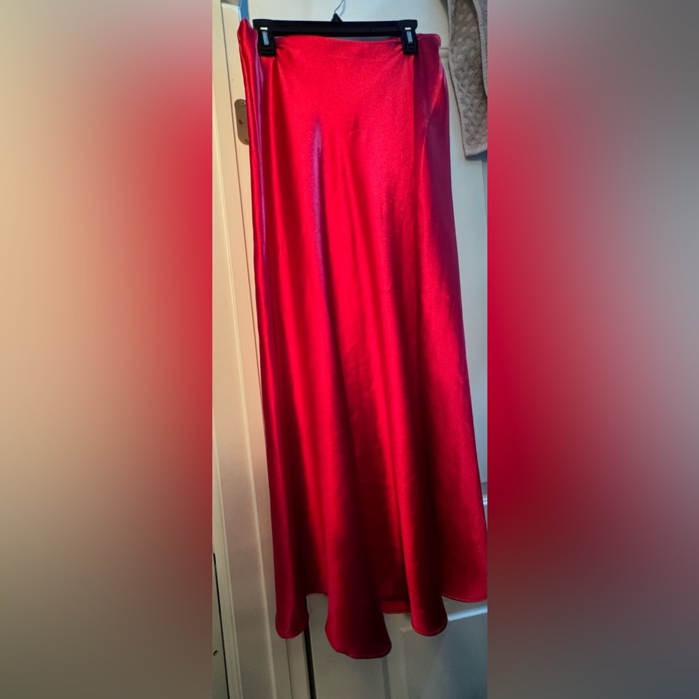 Zara pink long skirt